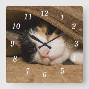 Calico Under The Rug Wall Clock