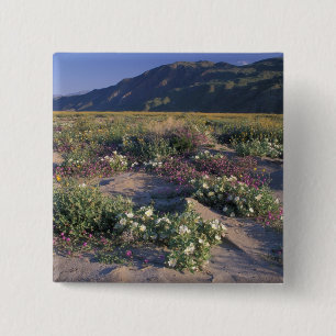 Califorinia, Anza-Borrego Desert SP, Sand 15 Cm Square Badge