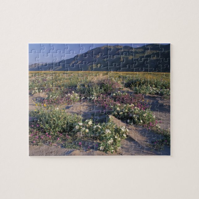 Califorinia, Anza-Borrego Desert SP, Sand Jigsaw Puzzle (Horizontal)