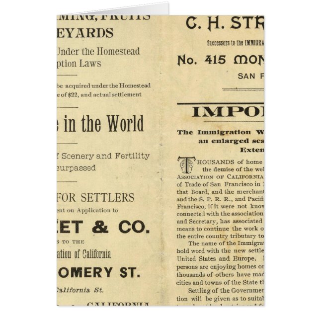 California 2 (Front)