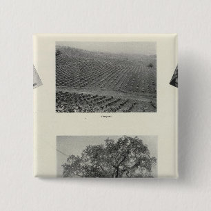 California 4 15 cm square badge