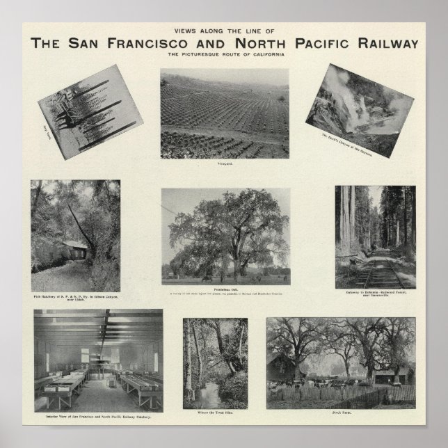 California 6 poster (Front)