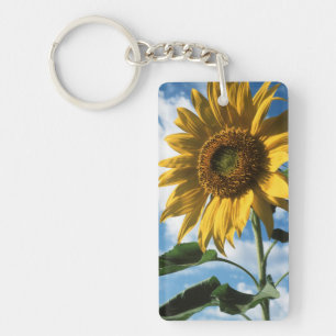California, A Mammoth Sunflower (Helianthus) 2 Key Ring