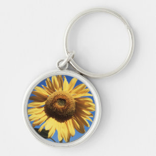 California, A Mammoth Sunflower (Helianthus) 3 Key Ring