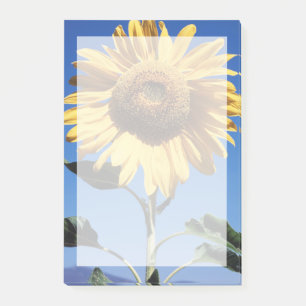 California, A Mammoth Sunflower (Helianthus) 3 Post-it Notes
