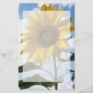 California, A Mammoth Sunflower (Helianthus) 4 Stationery