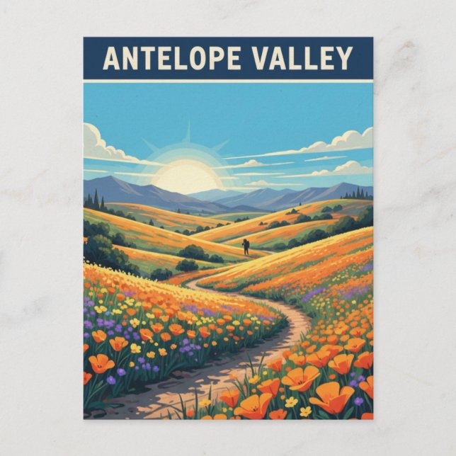 California Antelope Valley Wildflowers Postcard (Front)
