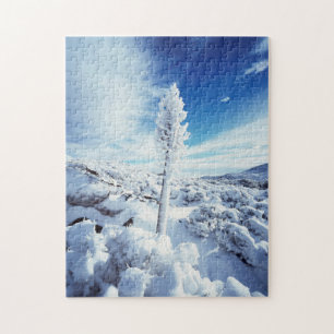 California, Anza Borrego Desert State Park 2 Jigsaw Puzzle