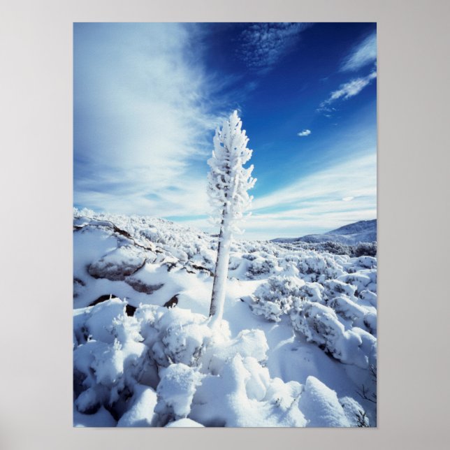 California, Anza Borrego Desert State Park 2 Poster (Front)
