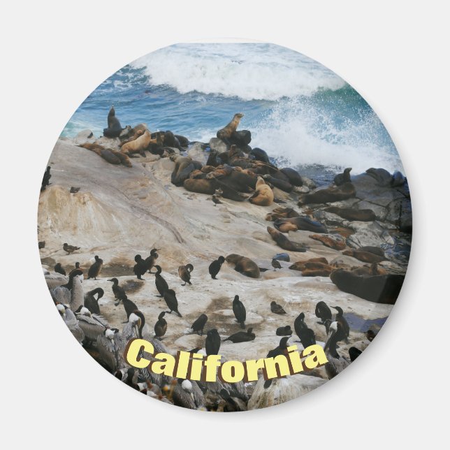 California Beach Magnet (Front)