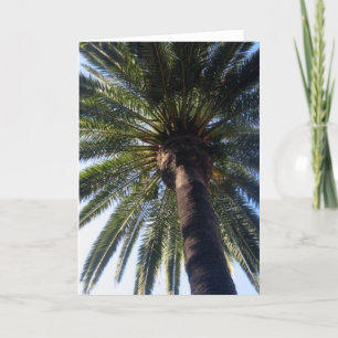 California Beach Palm Custom Photo Greeting Cards