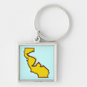 California bear state symbol souvenir keychain