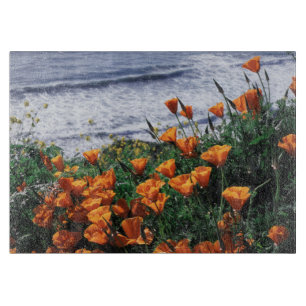 California, Big Sur Coast, California Poppy Cutting Board