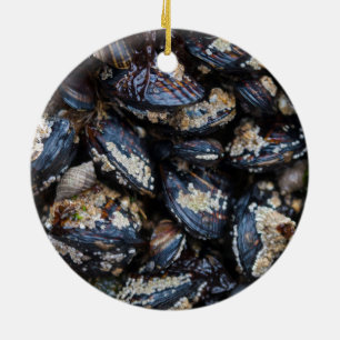 California Blue Mussels growing on rock in Bandon Ceramic Tree Decoration