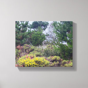 California Canvas: Asilomar Colours Canvas Print