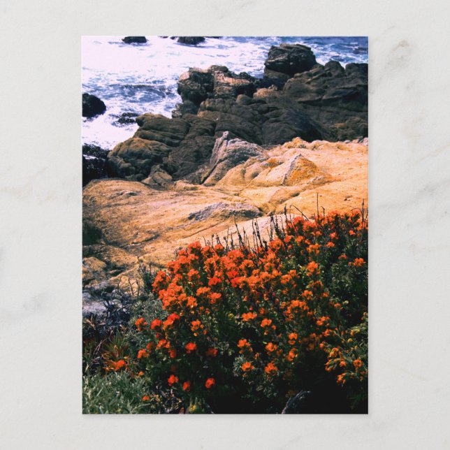 California Coastal Floral Postcard (Front)