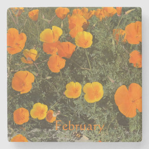 CALIFORNIA COASTER: JANUARY STONE COASTER