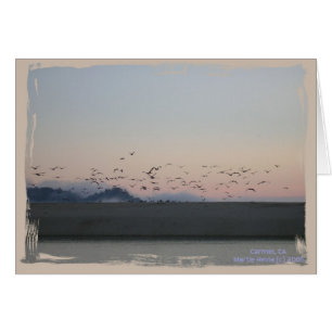 California Coastline Card Series (15)