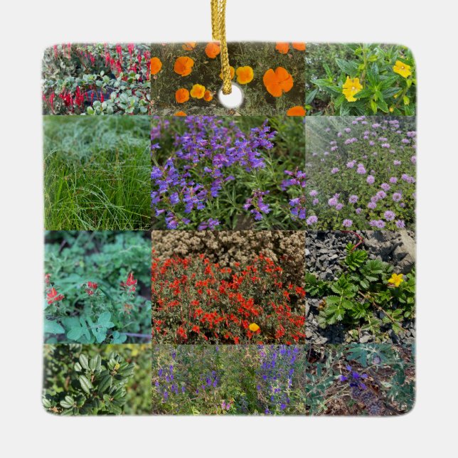 California Colours 2020 Ceramic Ornament (Front)