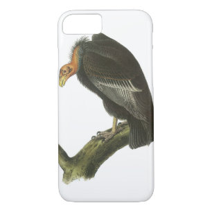 California Condor by Audubon iPhone 8/7 Case
