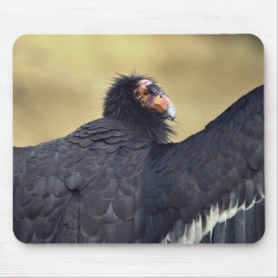California condor mouse pad