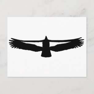 California Condor Postcard