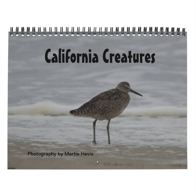 California Creatures Calendar (Sept-Aug) (Cover)