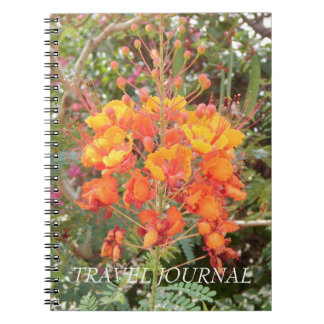 CALIFORNIA DESERT FLOWER #1 TRAVEL JOURNAL