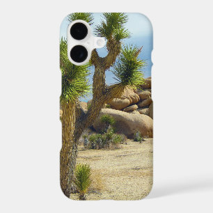 California Desert Succulents, Rocks & Clear Sky