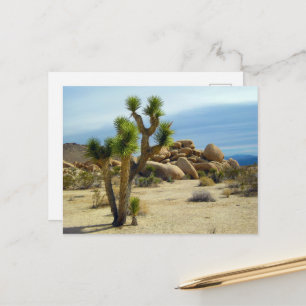 California Desert Succulents, Rocks & Clear Sky Postcard