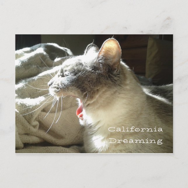 California Dreaming Postcard (Front)