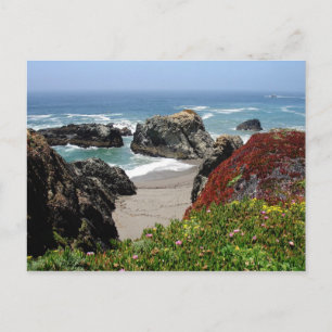 California Dreaming Postcard