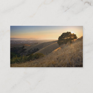 California East Bay Hills in Summer business card