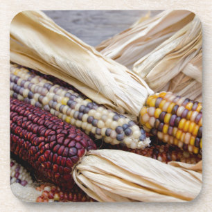 California. Fall Harvest Colourful Indian Corn Coaster