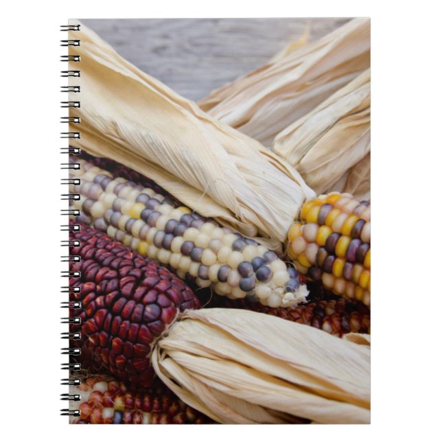 California. Fall Harvest Colourful Indian Corn Notebook (Front)