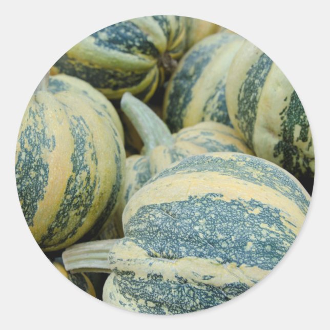 California. Fall Harvest In California Classic Round Sticker (Front)