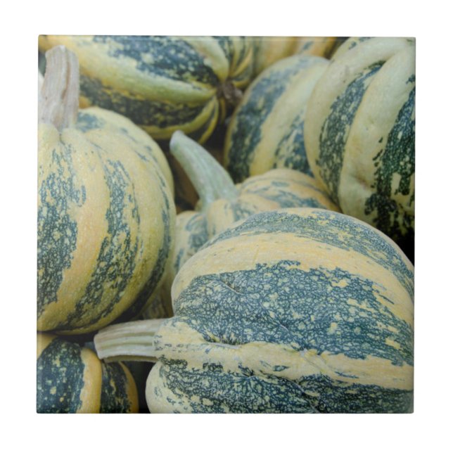 California. Fall Harvest In California Tile (Front)