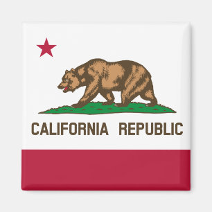 California flag & California, USA holiday/sports Magnet
