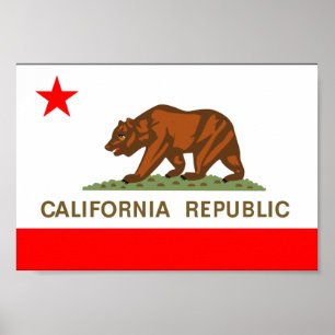California Flag Poster