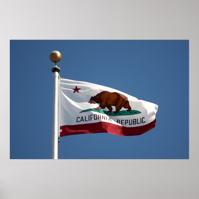 California flag poster (Front)