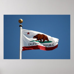 California flag poster