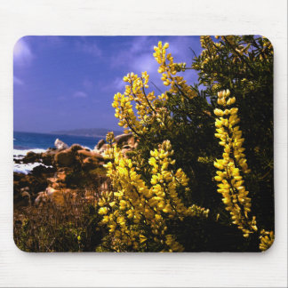 California Floral Coast Mousepad