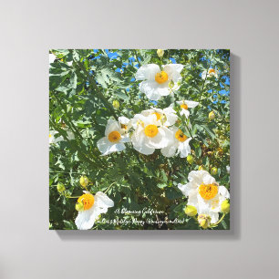 California Fried Eggs Canvas Print