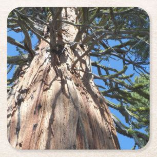 California Giant Square Paper Coaster