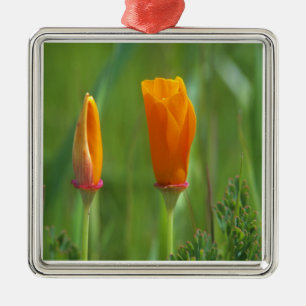 California golden poppies in a green field 2 metal tree decoration