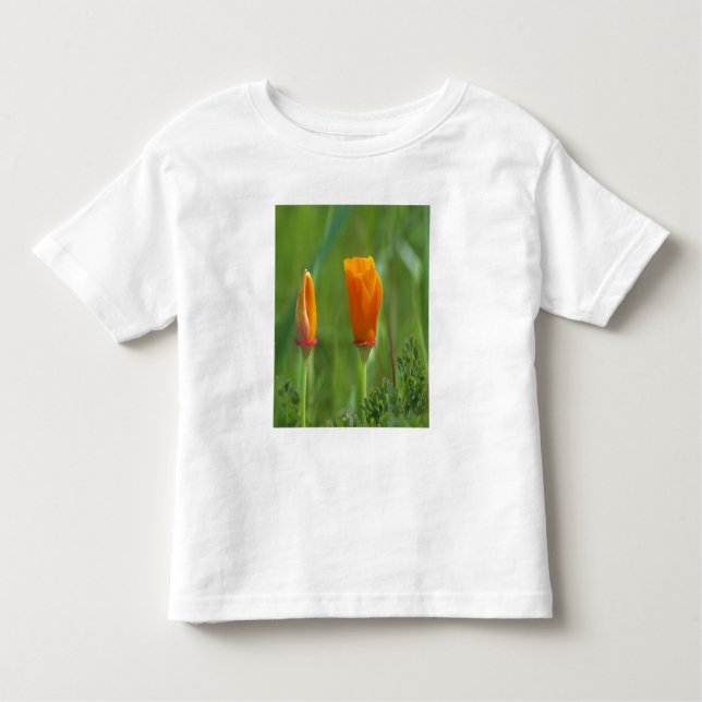 California golden poppies in a green field 2 toddler T-Shirt (Front)