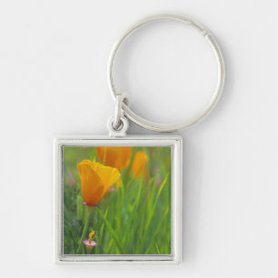 California golden poppies in a green field key ring