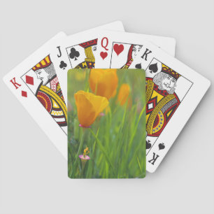 California golden poppies in a green field playing cards
