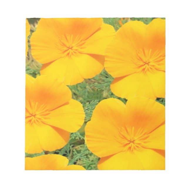 California Golden Poppy Notepad (Front)