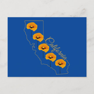 California Golden State Poppy Floral Postcard
